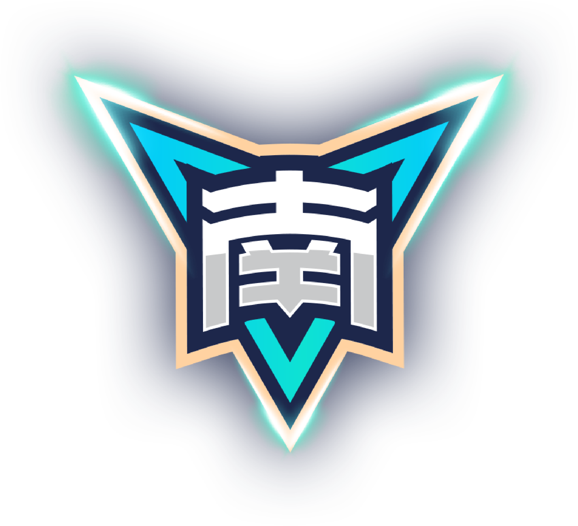 浙江广厦