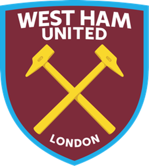 亚特兰大老鹰